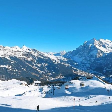 Chalet Aphrodite Ost Apartment Grindelwald Exterior photo