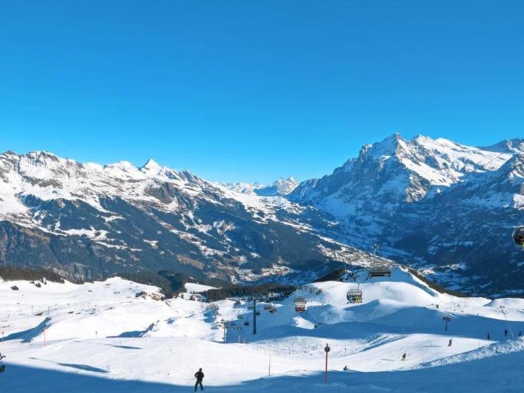 Chalet Aphrodite Ost Apartment Grindelwald Exterior photo