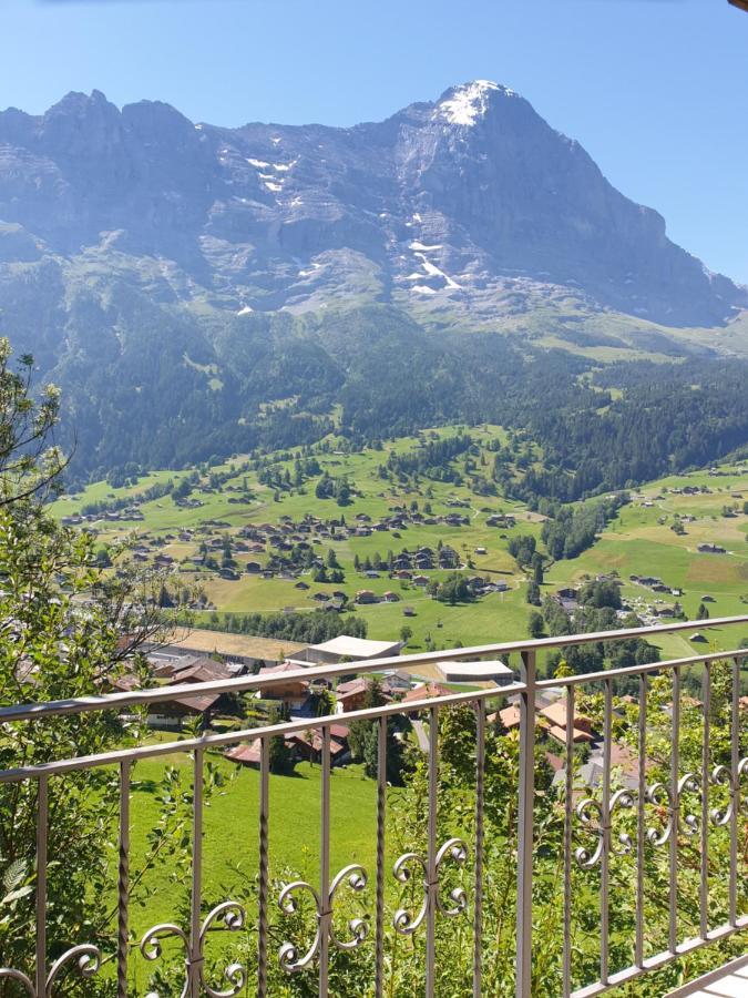 Chalet Aphrodite Ost Apartment Grindelwald Exterior photo